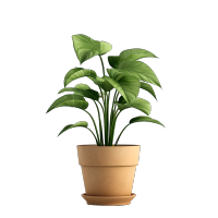 3D植物可爱简约插图