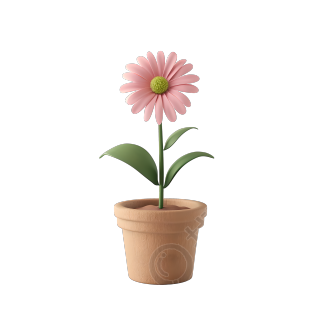 3D花卉商业插画设计