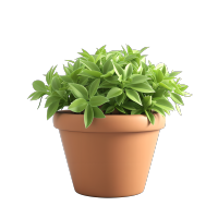 3D植物图形素材