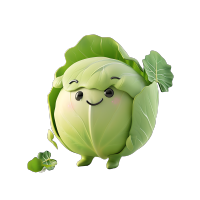 果蔬卷心菜插图