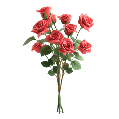 玫瑰花束透明背景素材