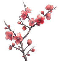 中国风梅花素材