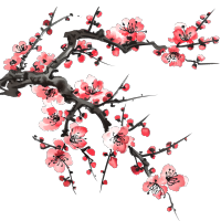 中国风梅花插画