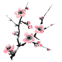 中国风梅花商用插画