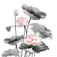 水墨荷花插画