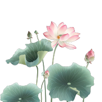 水墨荷花插图
