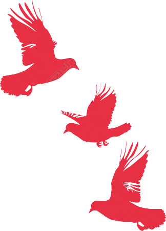 红色和平鸽插画