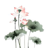 水墨荷花中国画插画