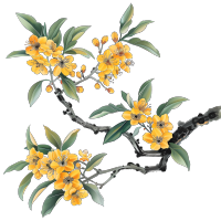 国风桂花元素