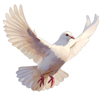 白鸽扁平插图