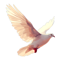 白鸽飞翔插图