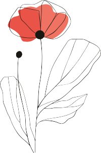 抽象植物高清插图