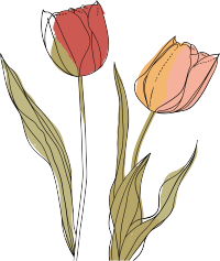 抽象植物插画设计