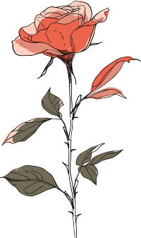 抽象植物极简主义插图