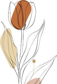 抽象植物插画