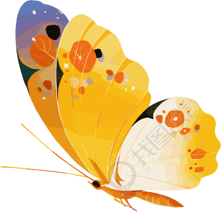 水彩蝴蝶精美图形素材