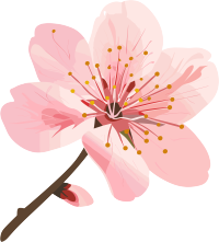 粉色樱花小清新素材