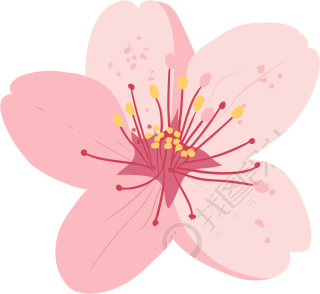 粉色樱花商用插画