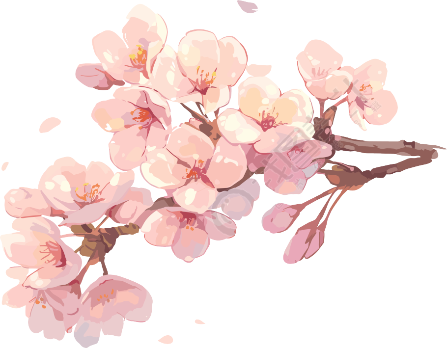 粉色樱花透明背景插画