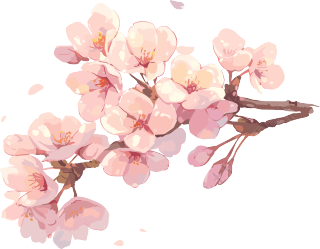粉色樱花透明背景插画