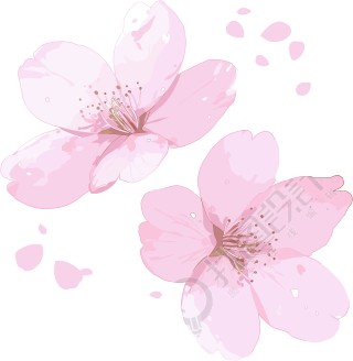 樱花花瓣图案素材
