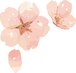 樱花花瓣创意粉色元素