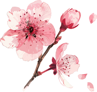樱花花瓣粉色插图