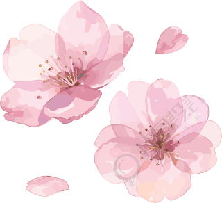 樱花花瓣创意PNG素材