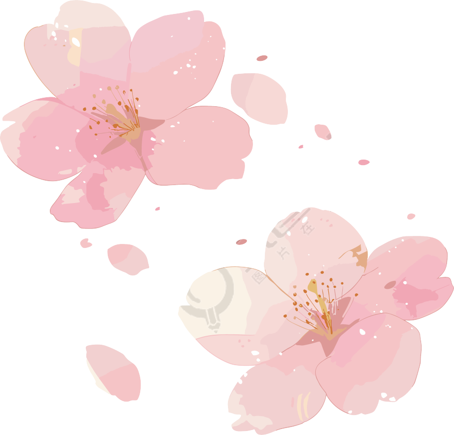 樱花花瓣透明背景元素