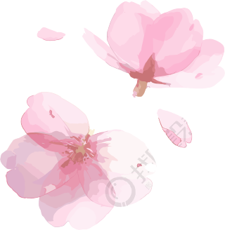 樱花花瓣创意商用插画