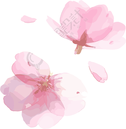樱花花瓣创意商用插画