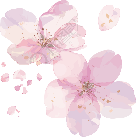樱花花瓣温馨图形素材