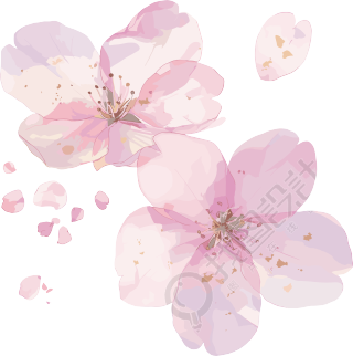 樱花花瓣温馨图形素材