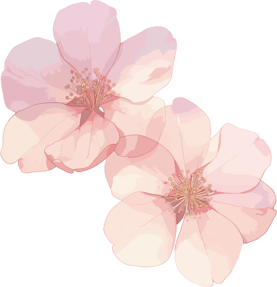 樱花花瓣商用插图