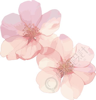樱花花瓣商用插图