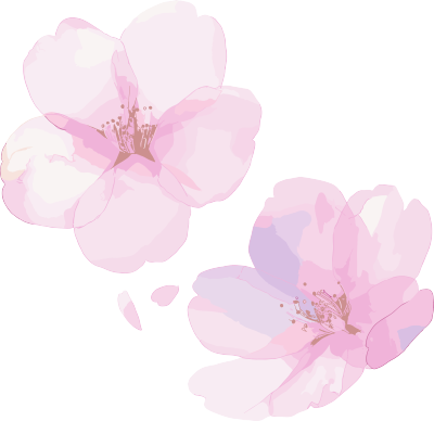 樱花花瓣水彩风插画