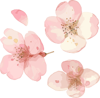 樱花花瓣商用素材