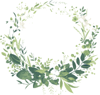 鲜花边框浅绿色插画