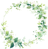 鲜花边框创意插图