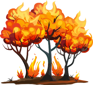 森林火灾素材