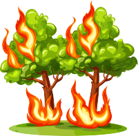 森林火灾商用插画