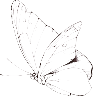 线条蝴蝶可商用图形素材