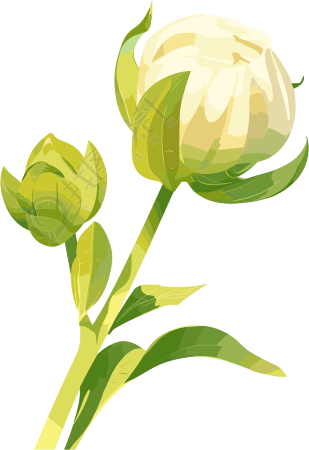 花苞嫩芽插画