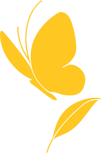 线条蝴蝶高清图形素材