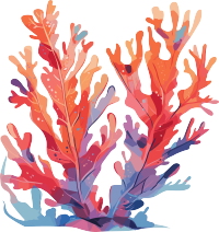 海洋珊瑚素材