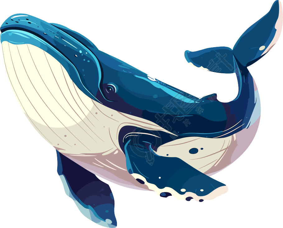 鲸鱼简单可爱插图