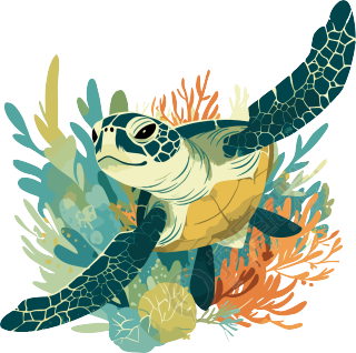 海洋海龟简单插画