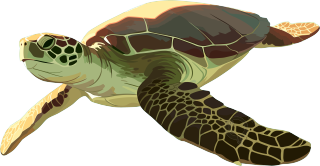 海洋海龟插画
