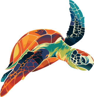 海洋海龟美丽插图