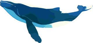 海洋鲸鱼简洁美观插图
